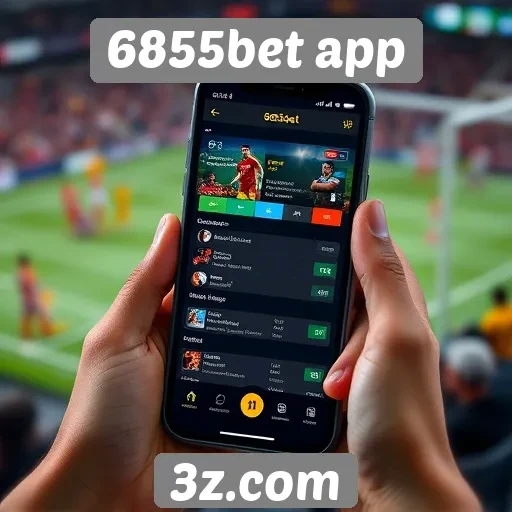 Avaliação da experiência do usuário no 6855bet app